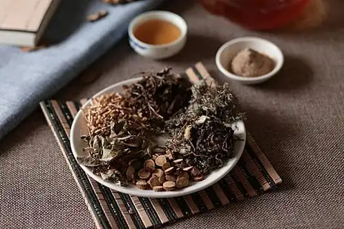 《黄帝内经》灵枢·根结