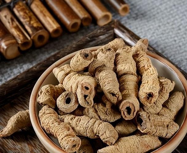 《黄帝内经》灵枢·针解